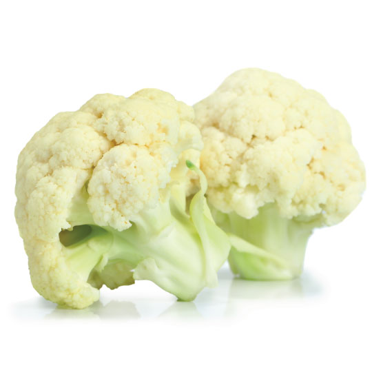 Our Products BCFoods