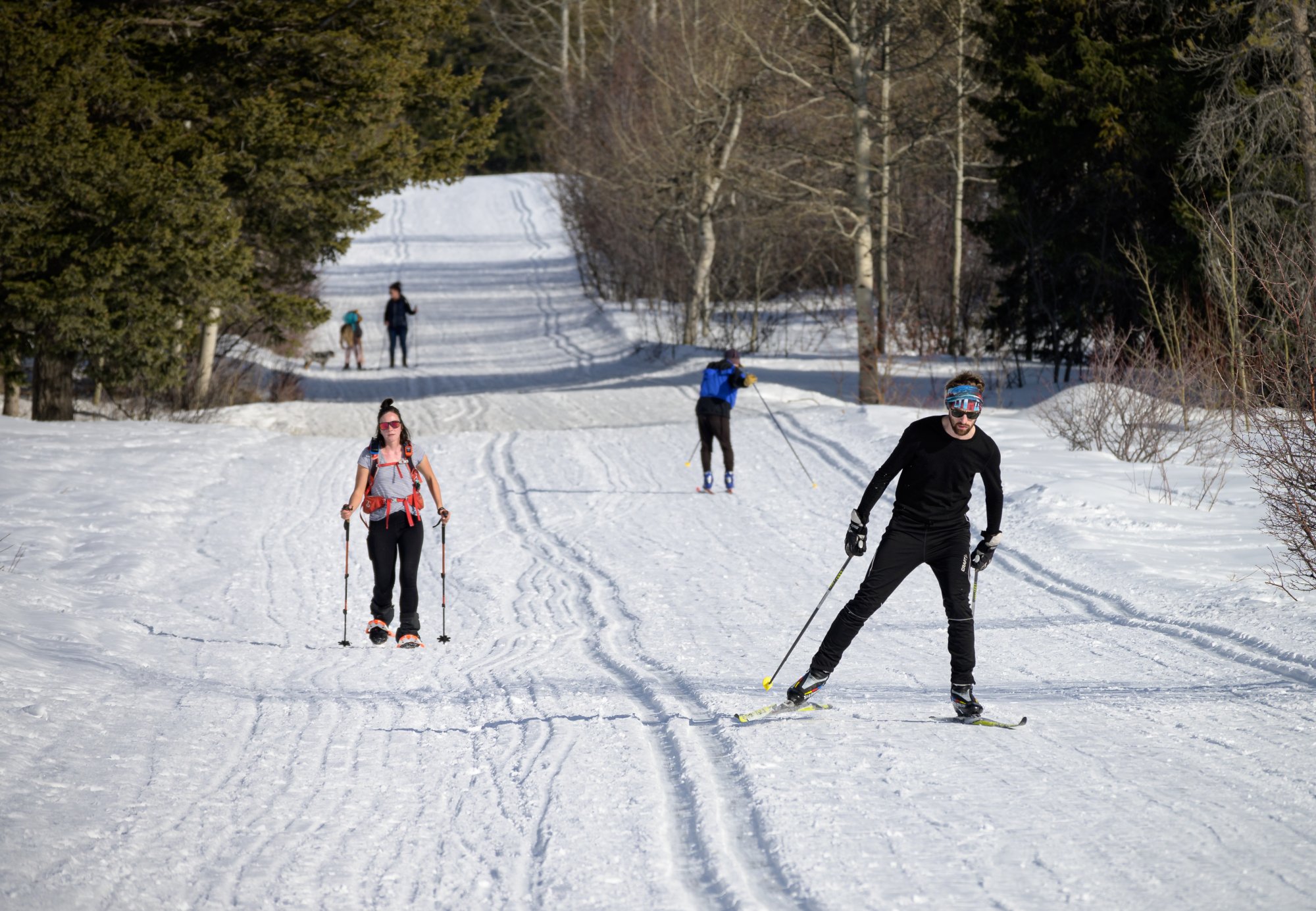 Snowshoeing in Teton Canyon (on Idaho side of Tetons) Backcountry