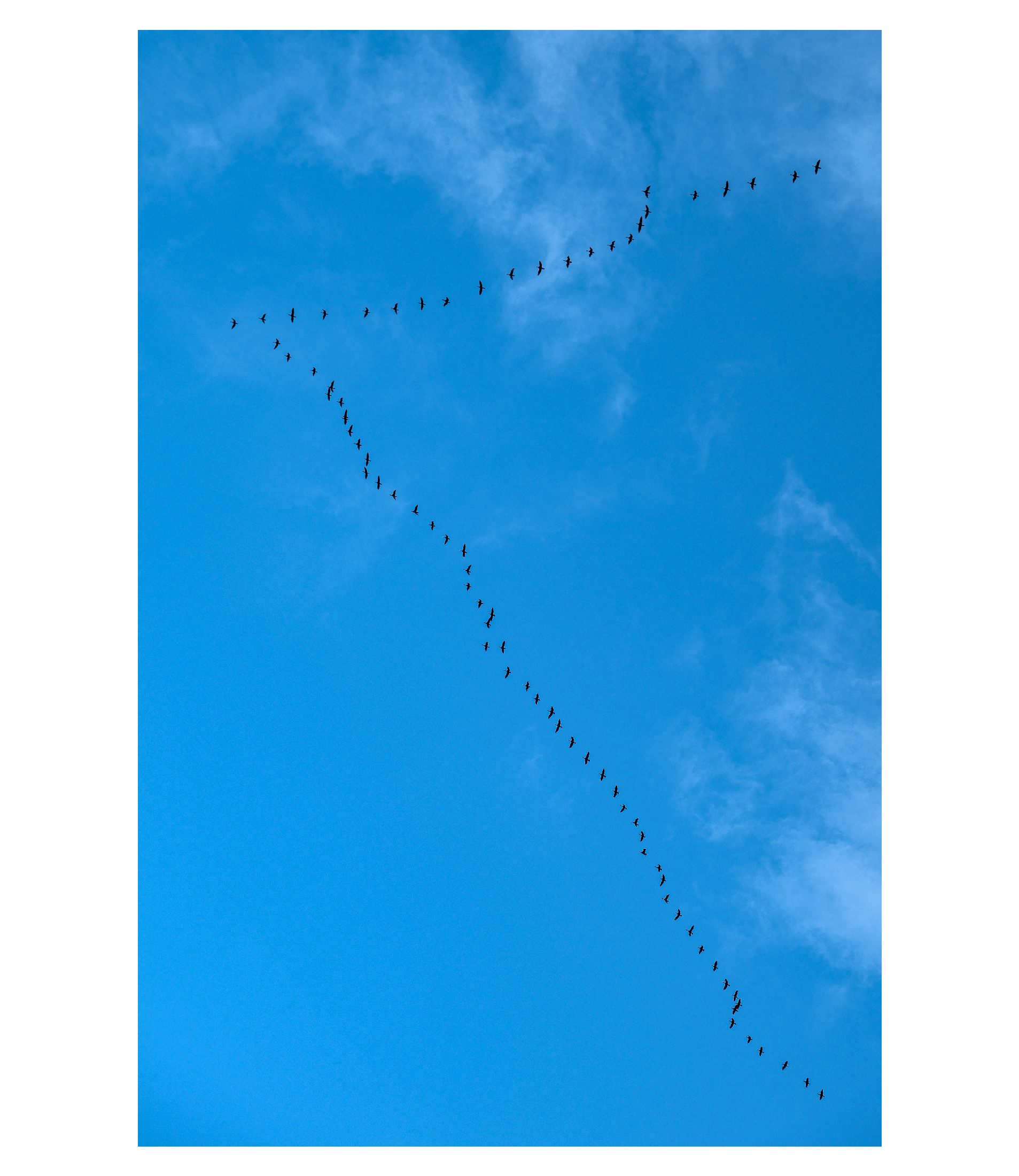 Flying V Backcountry Gallery Photography Forums