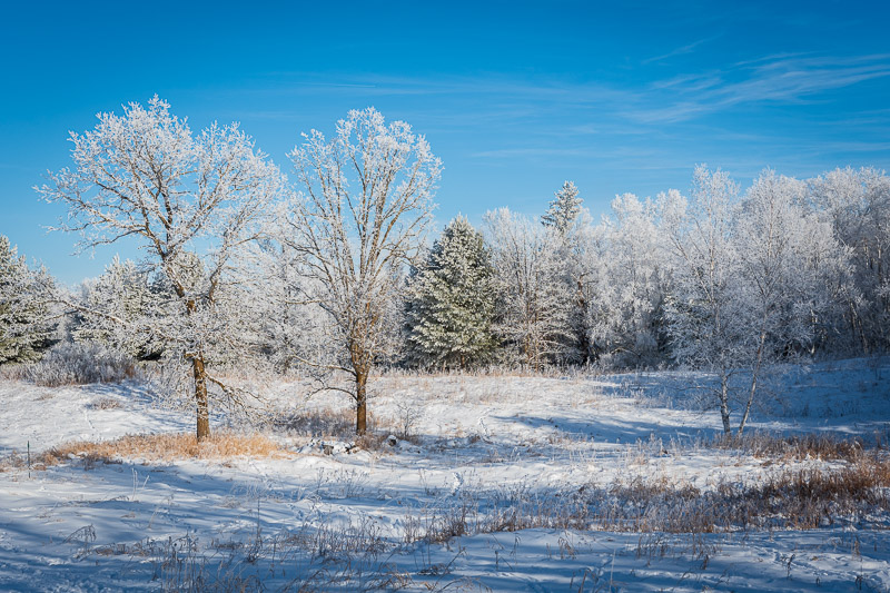 Minnesota Frost Backcountry Gallery Photography Forums