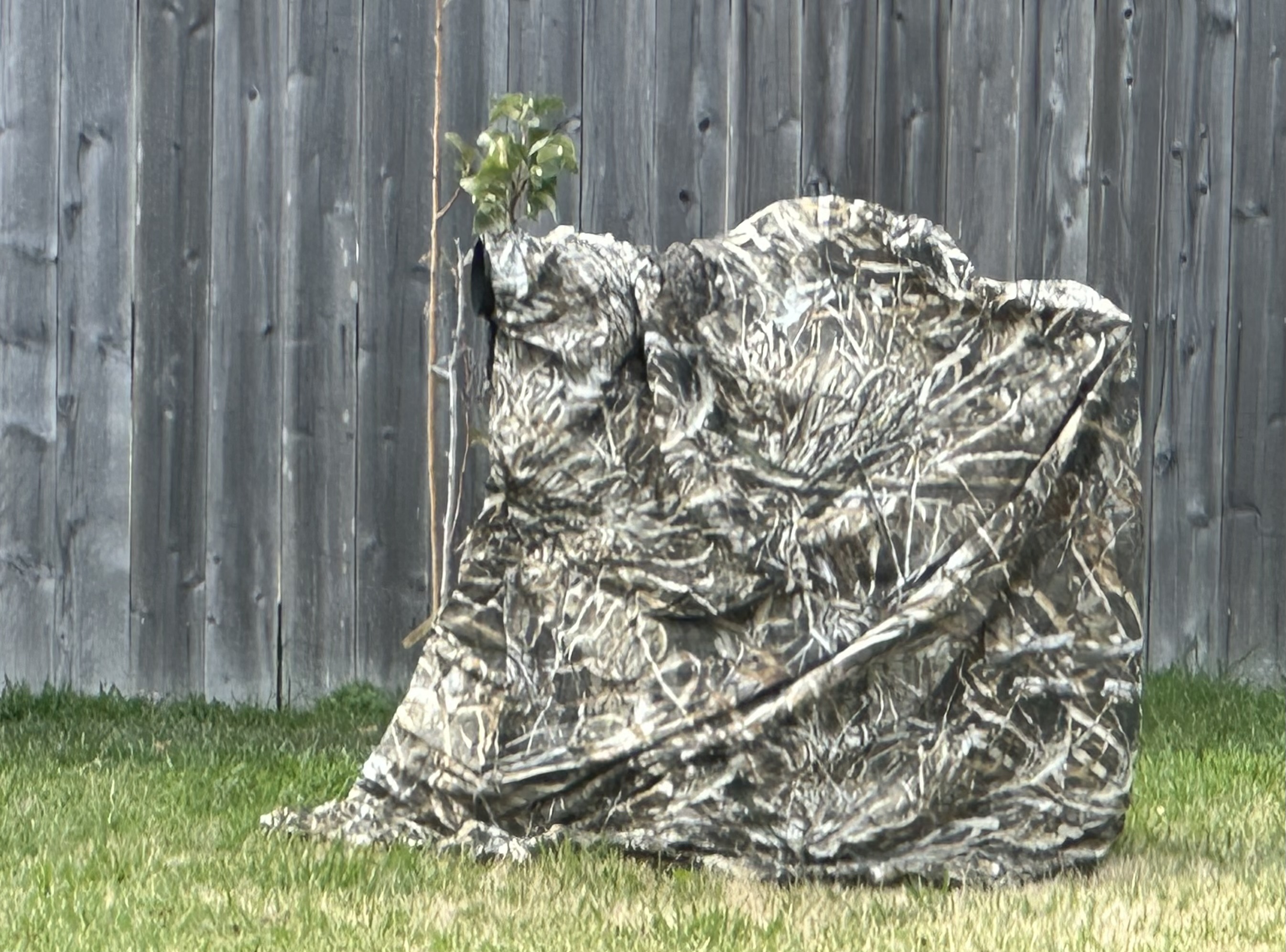 Portable hides/camo gear Backcountry Gallery Photography Forums