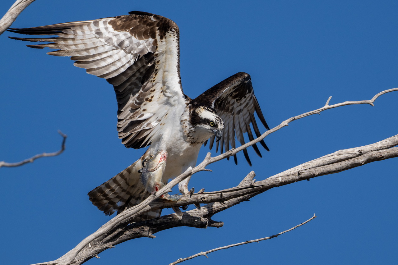 Neighborhood Visitor Backcountry Gallery Photography Forums