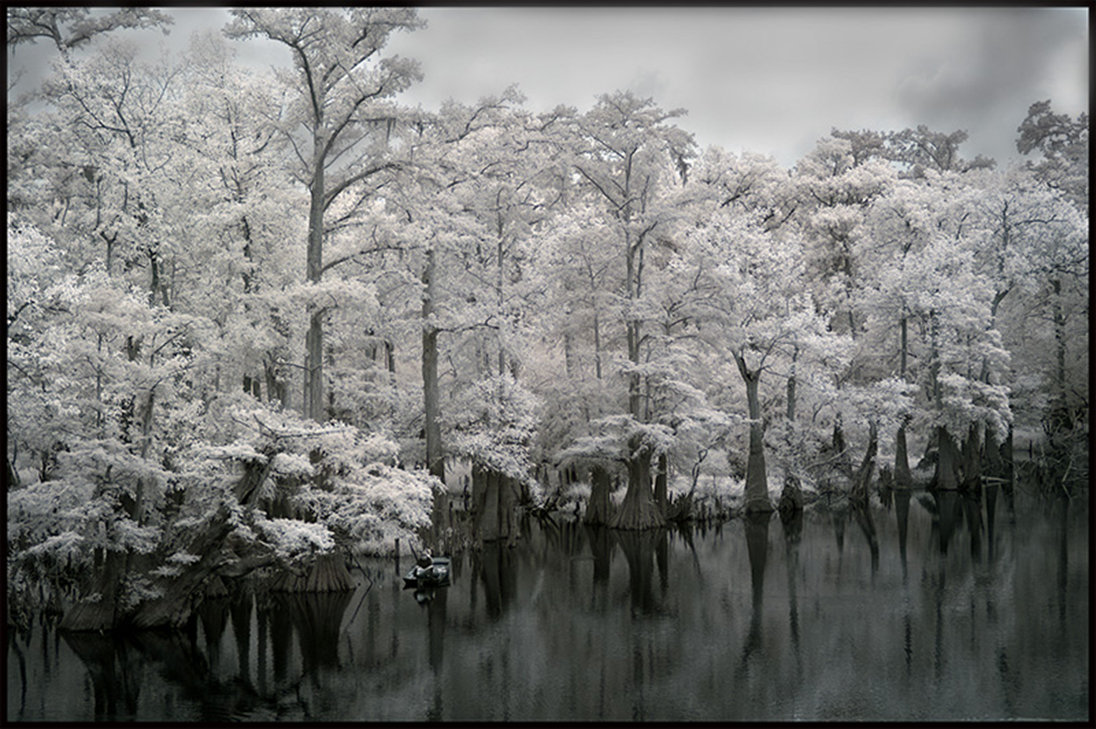 Wildlife management area, Pascagoula river. Backcountry Gallery
