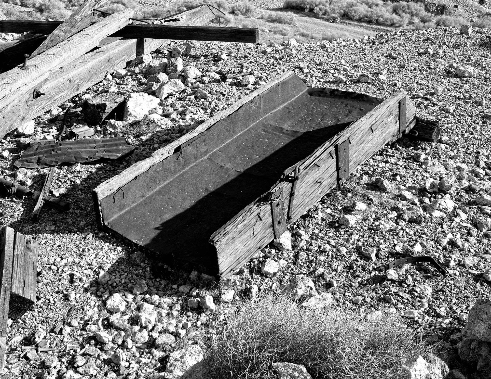 bullfrog_04 BC Gold Adventures