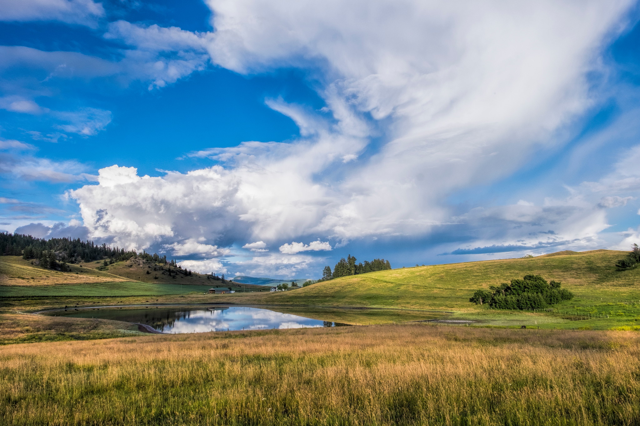 Home Grasslands Conservation Council of BC