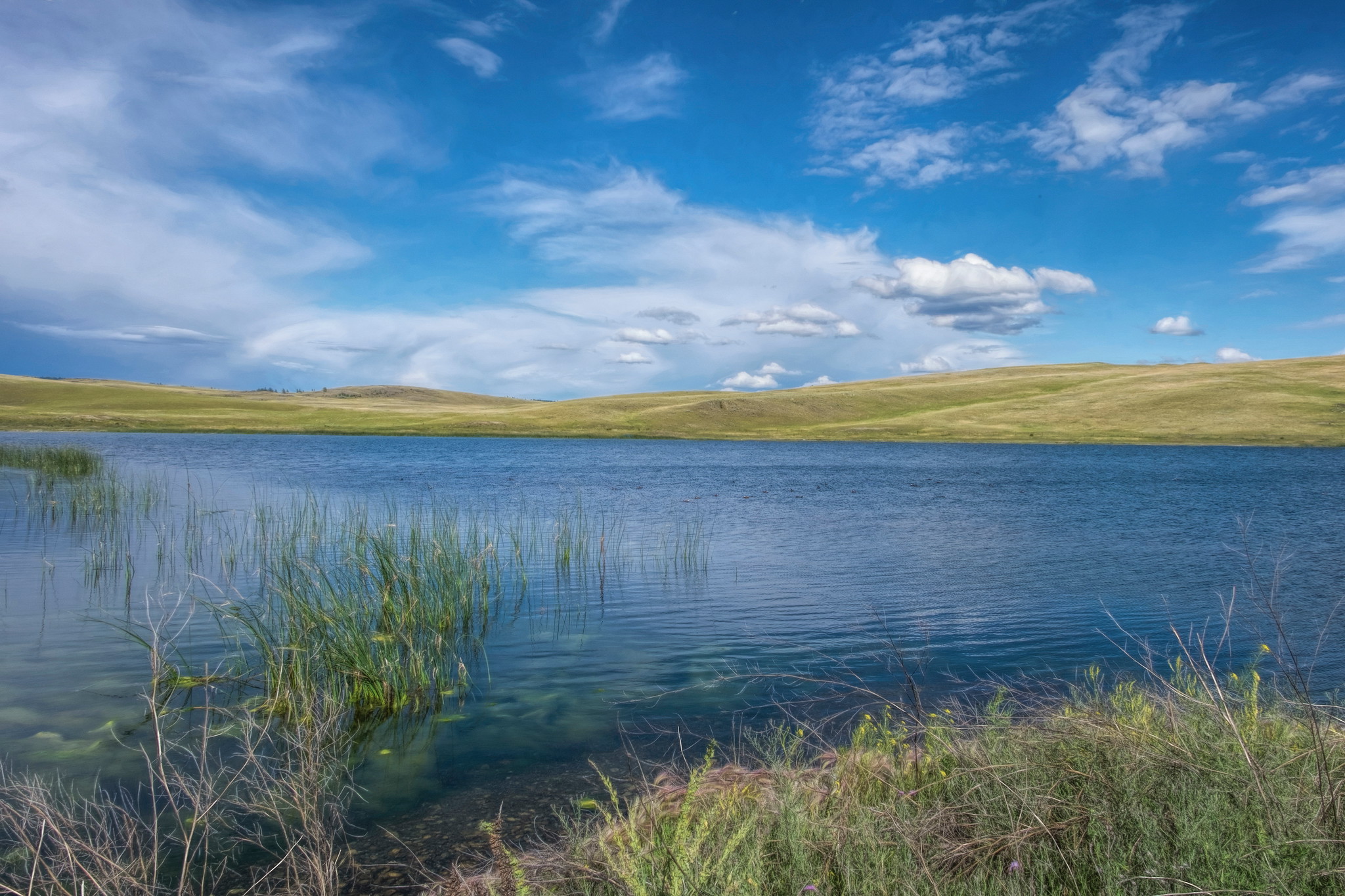 Home Grasslands Conservation Council of BC