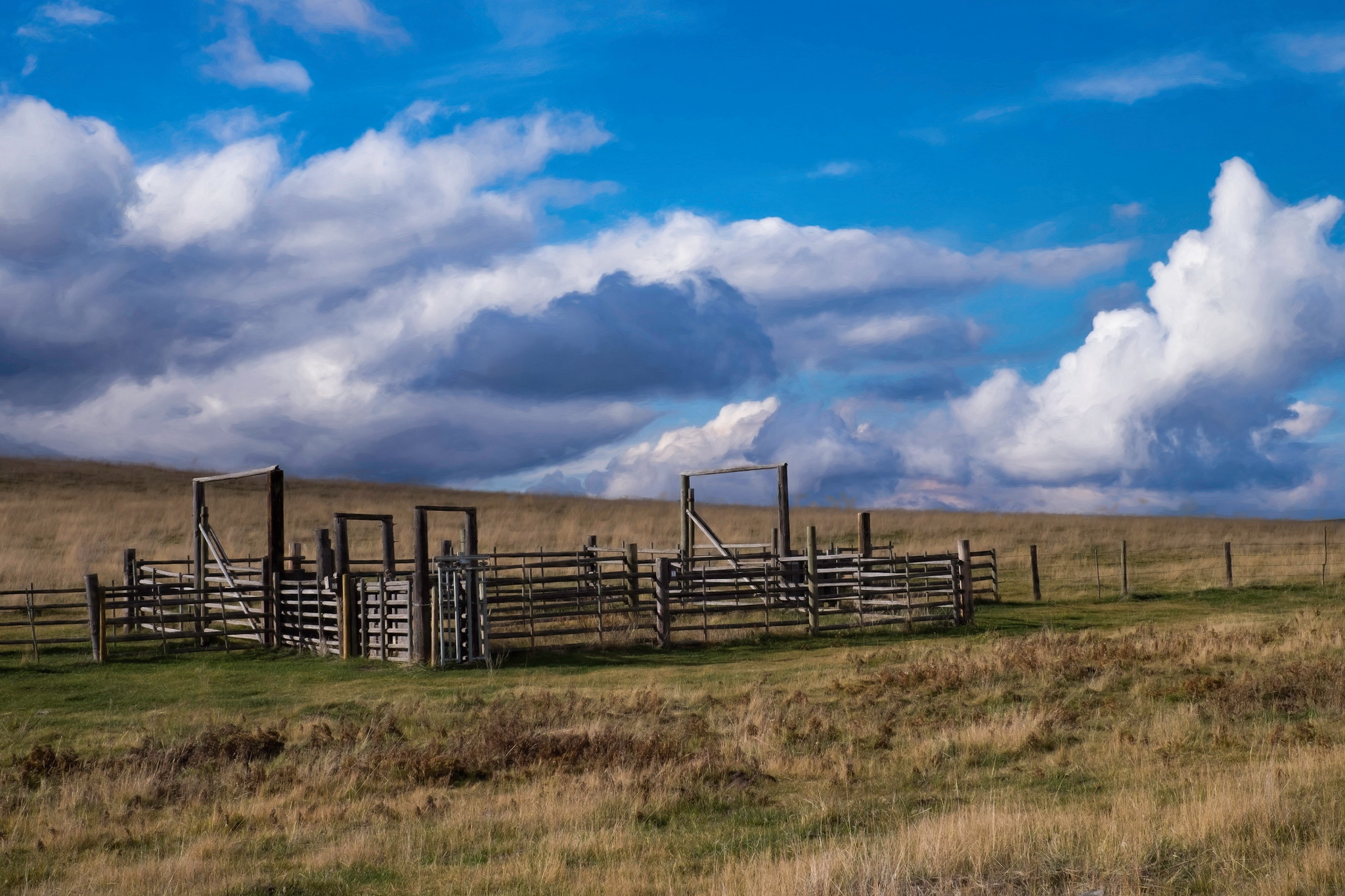 Grasslands Conservation Council of British Columbia Grasslands