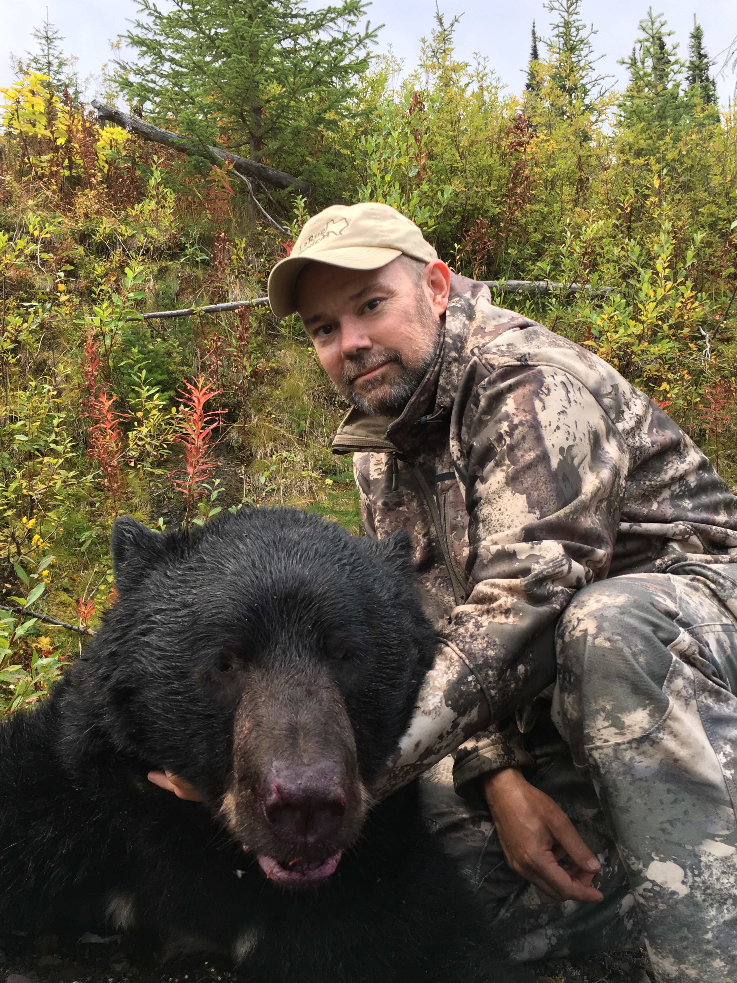 Black Bear Hunting BC Guided Hunting BC Hunts Moose, Goat, Bear and more
