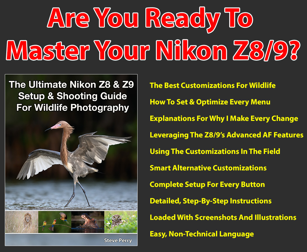 The Ultimate Nikon Z8 And Z9 Setup & Shooting Guide For Wildlife