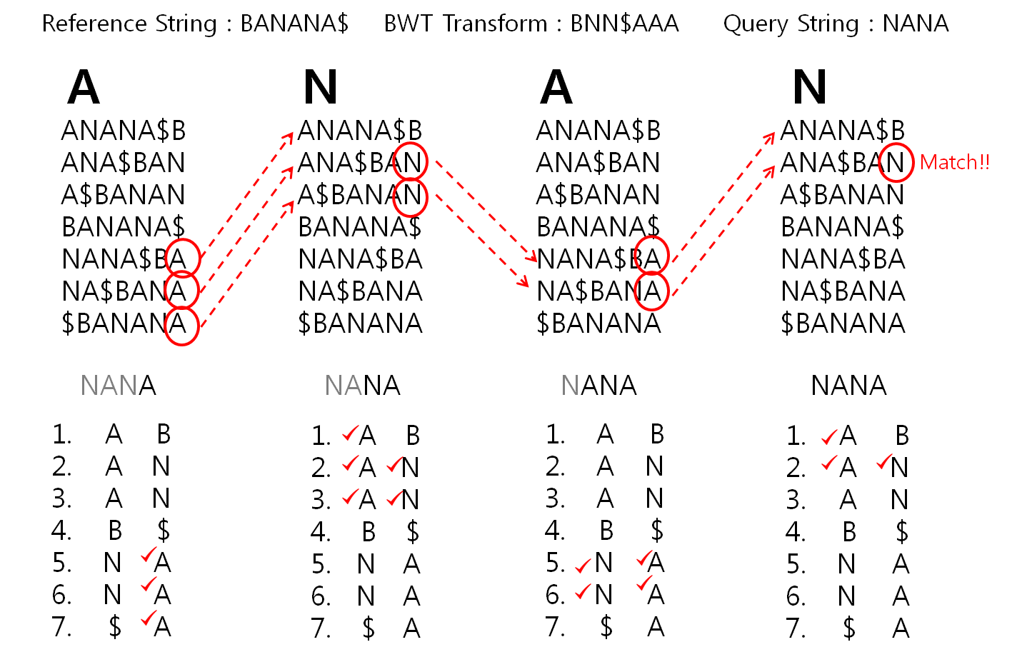 4_Github / Compile / Conda BCH709 Introduction to Bioinformatics