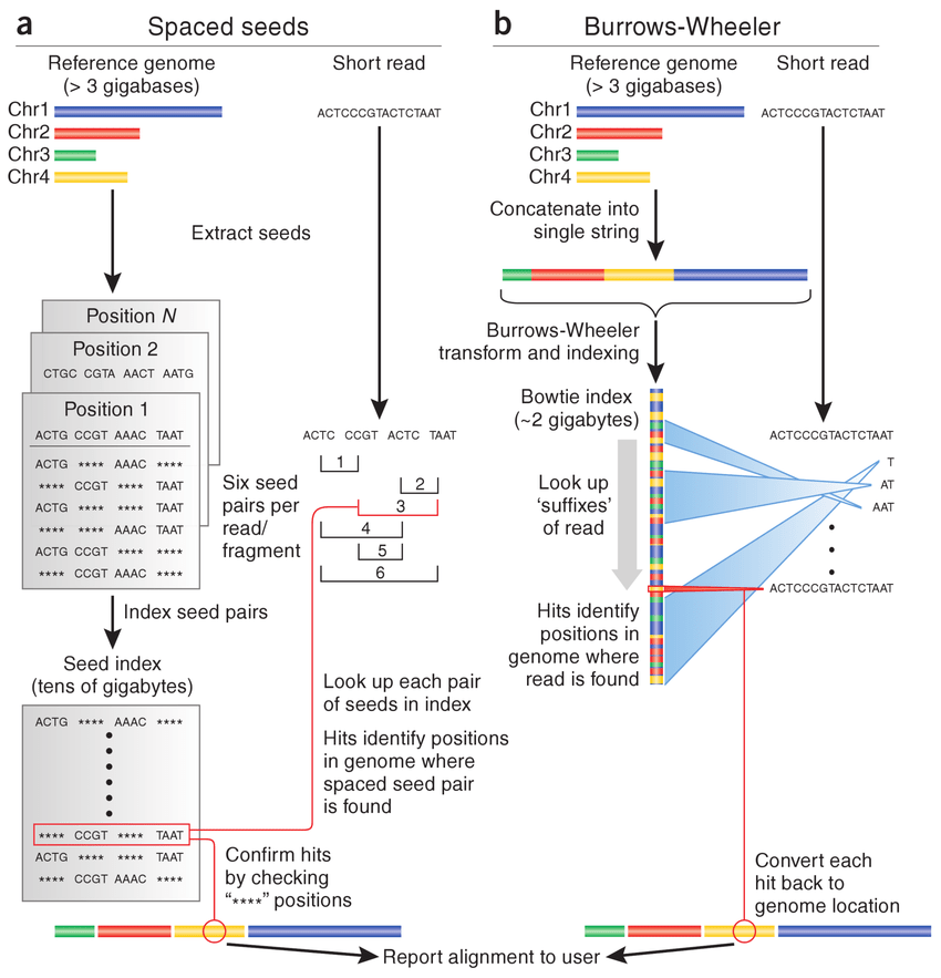4_Github / Compile / Conda BCH709 Introduction to Bioinformatics