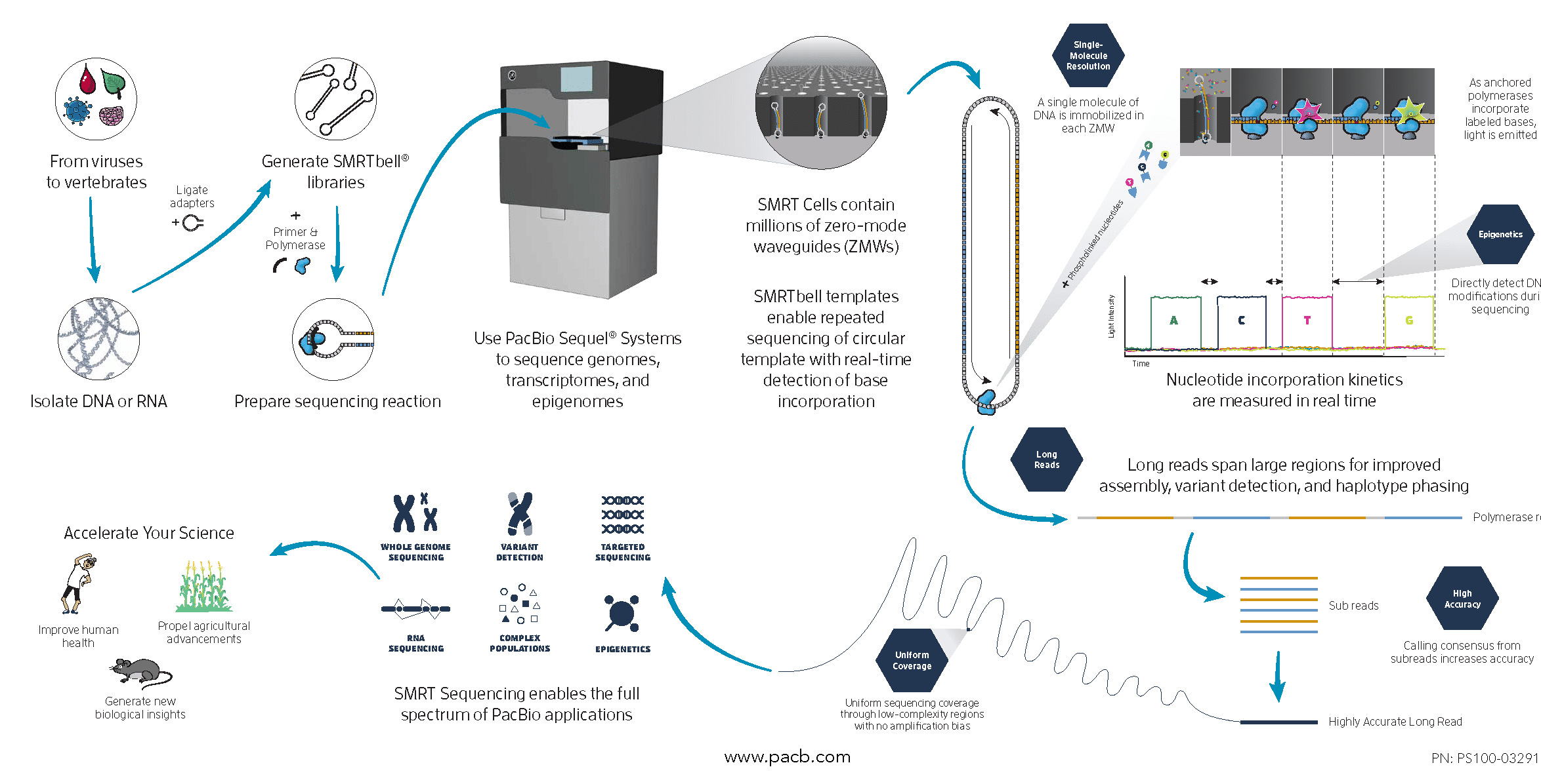 10_Genome assembly BCH709 Introduction to Bioinformatics