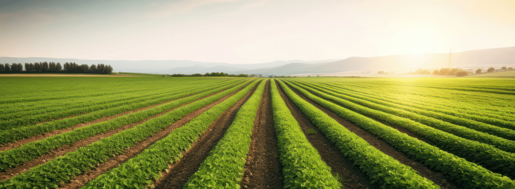 Agriculture & Fertilzers Blue Line Industries