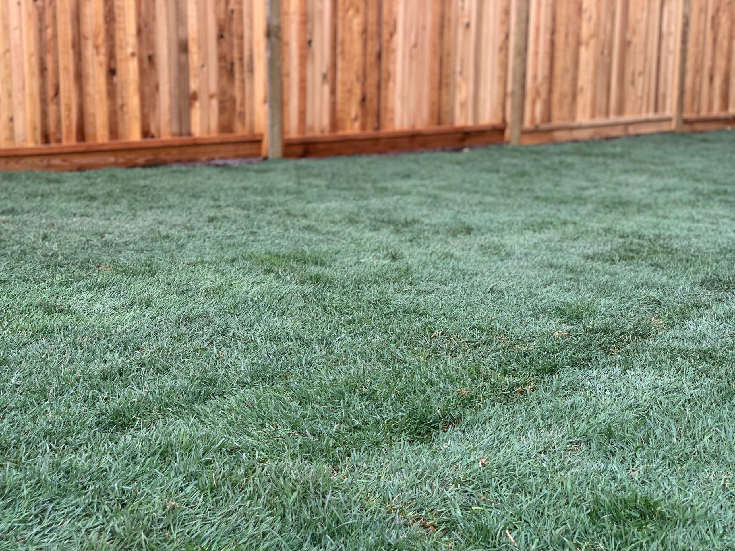 To BC Landscape Materials Supply Store BC INSTANT LAWNS