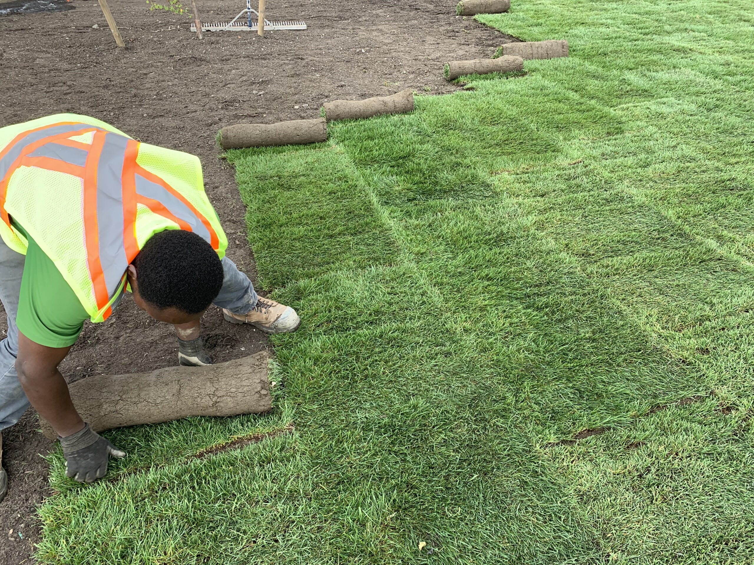 New Sod Installation Projects BC Instant Lawns BC INSTANT LAWNS