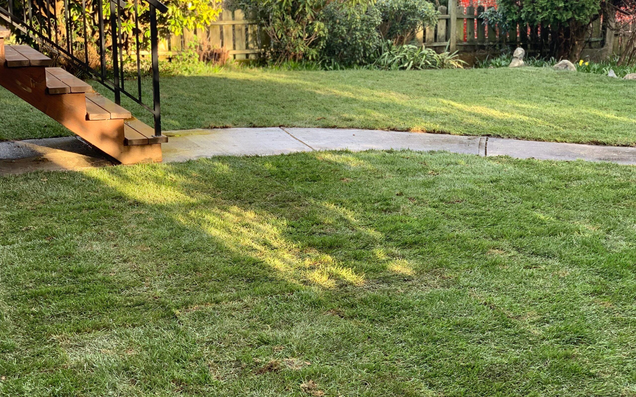 How to maintain a lawn in shaded conditions, 10 easy steps. BC