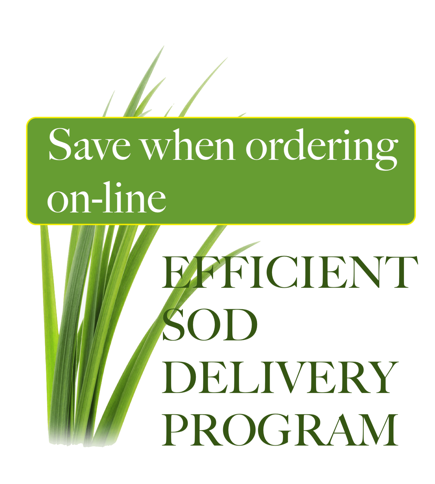 Buy Sod Online from BC Instant Lawns BC INSTANT LAWNS & LANDSCAPES