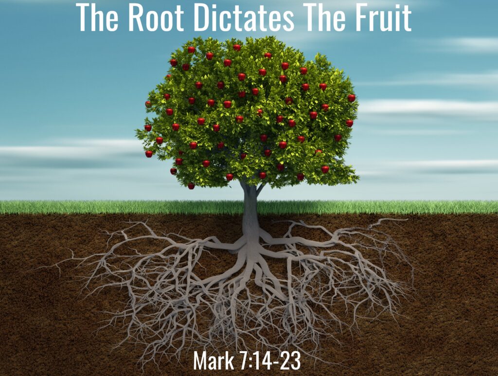 Fruit Tree Roots Biblical Counseling Institute