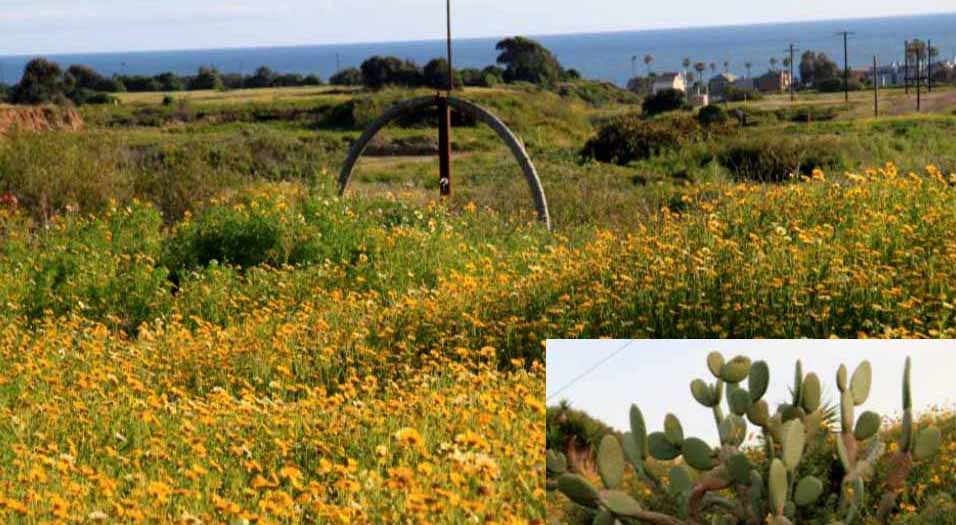 Banning Ranch Bolsa Chica Land Trust