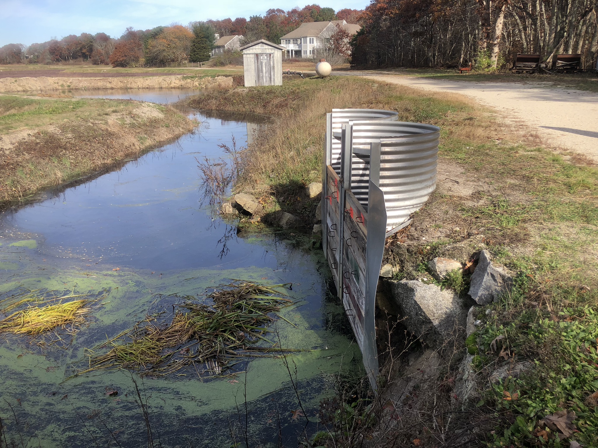 Marstons Mills River Streamflow Barnstable Clean Water Coalition