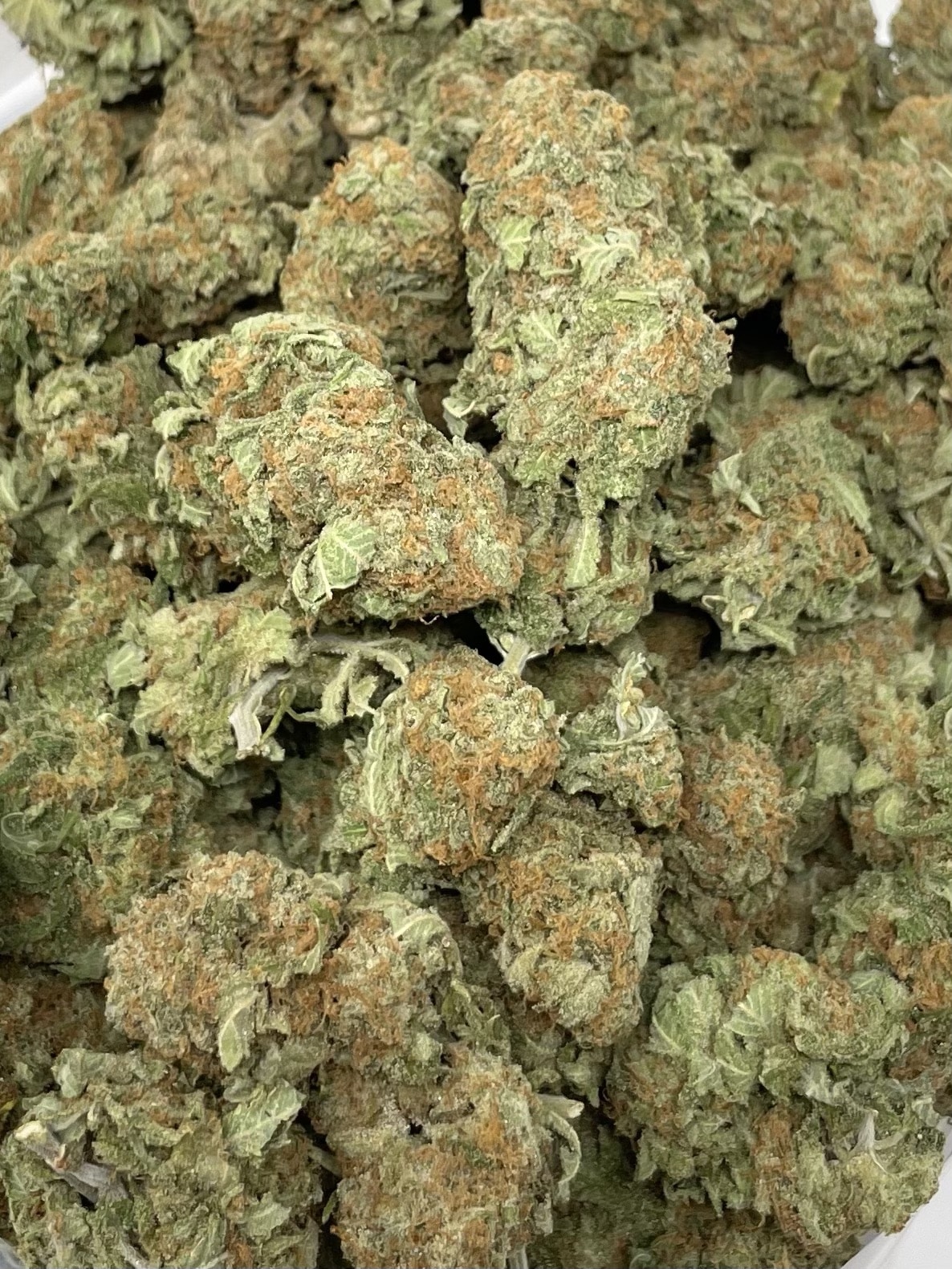 Cali Kush BC Medi Chronic