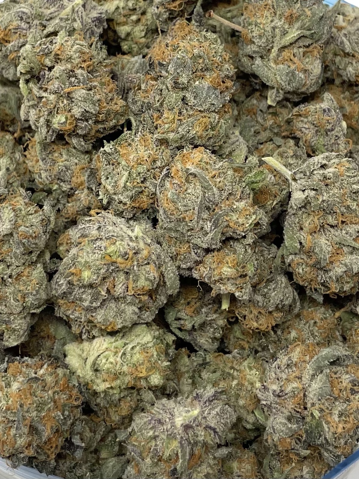 Purple Diesel BC Medi Chronic