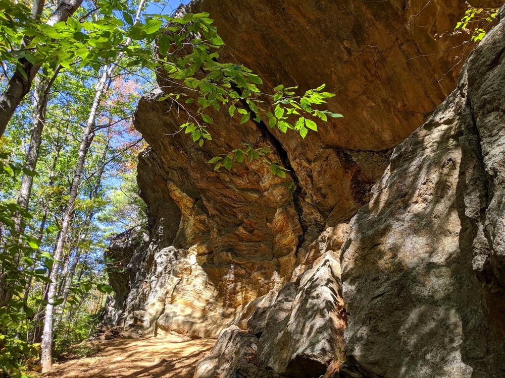 Meadows Wildlife Management Area Maine Trail Finder