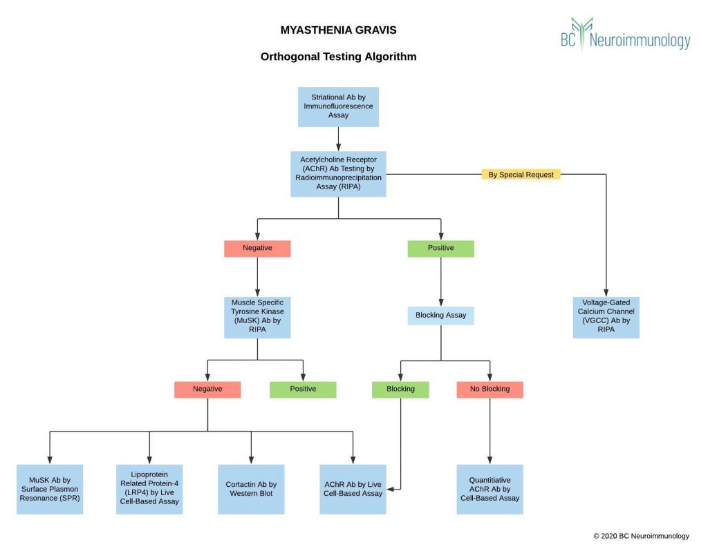 Myasthenia Gravis BC Neuroimmunology