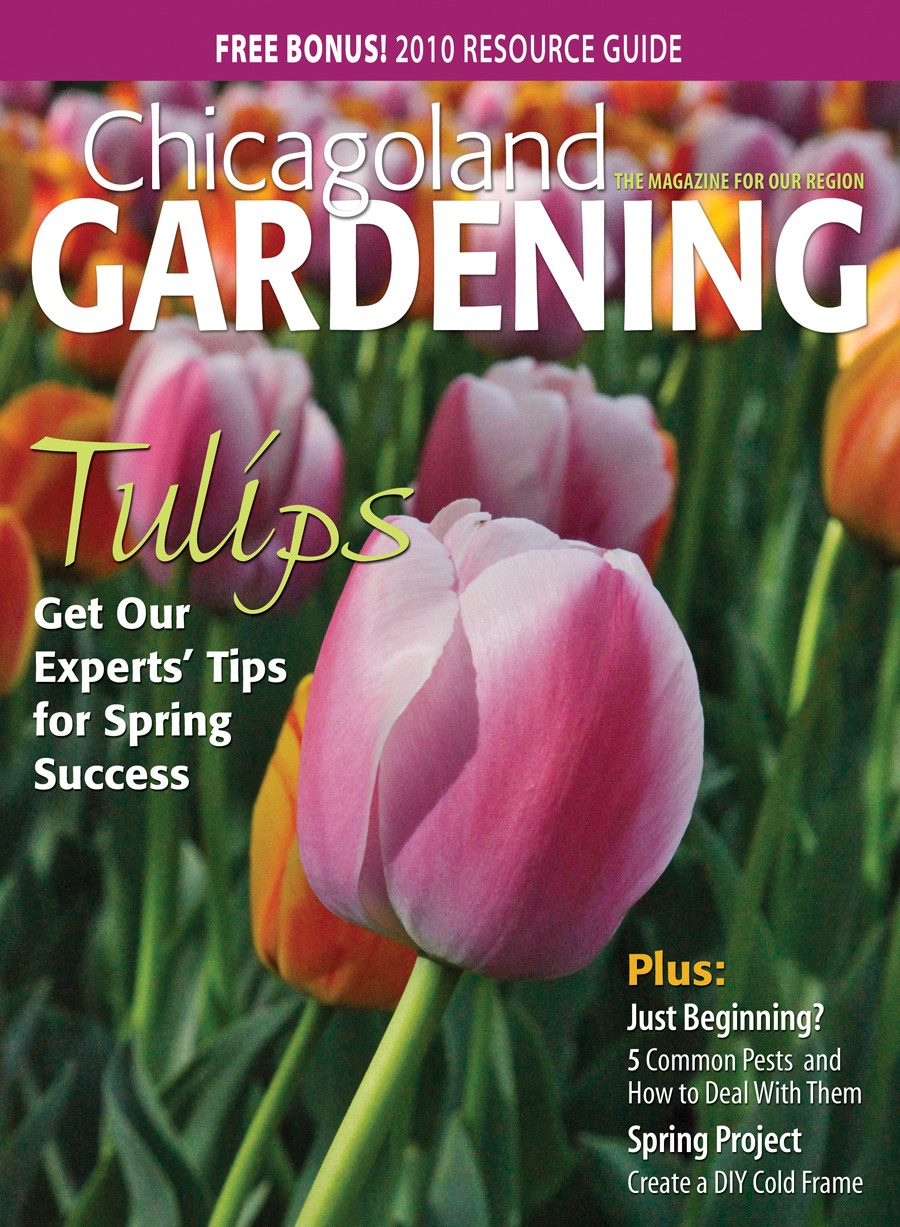 Bowmanville Community Organization » Gardens & Open Spaces