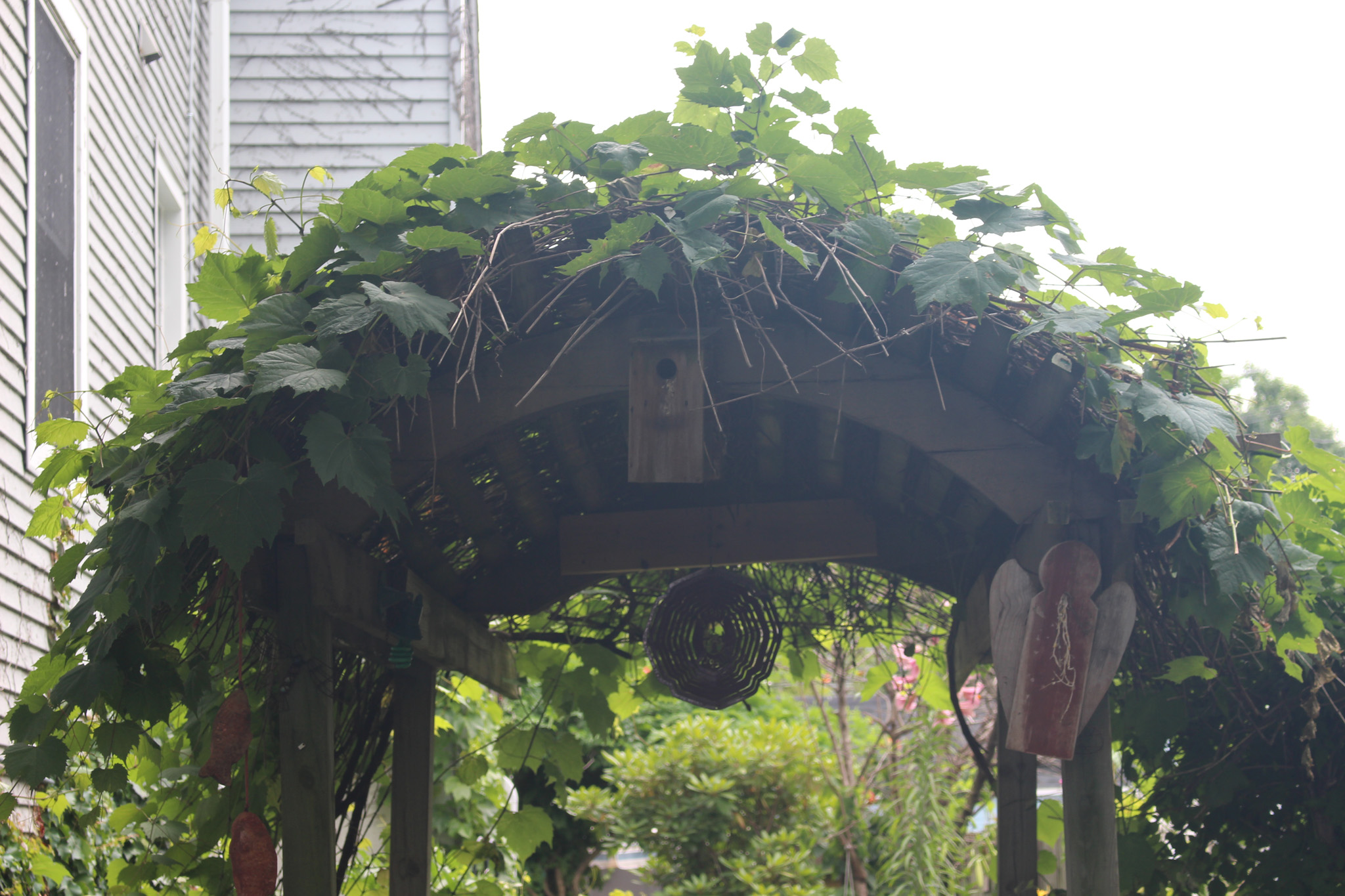 Photo Gallery Bowmanville Community Organization