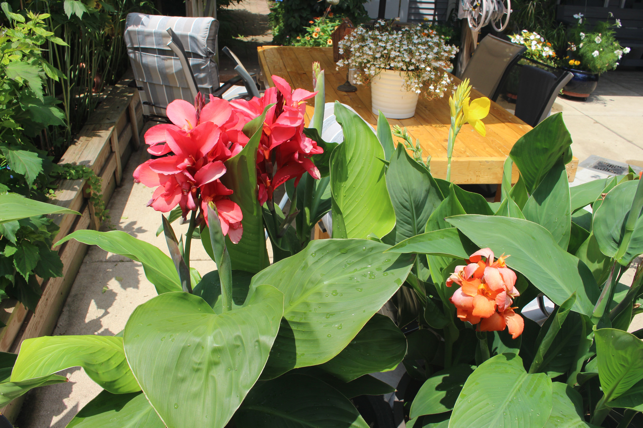 Photo Gallery Bowmanville Community Organization