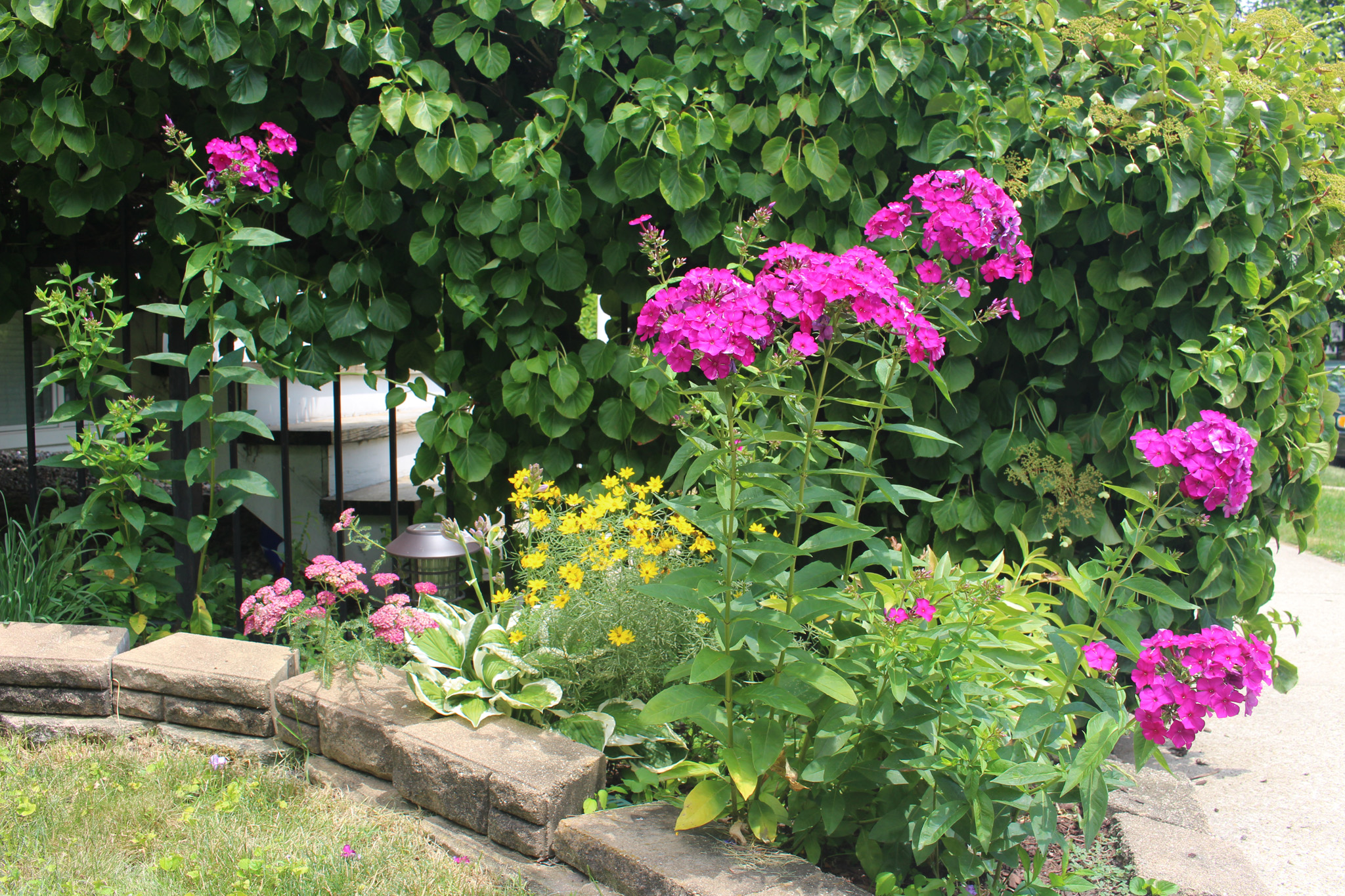 Photo Gallery Bowmanville Community Organization