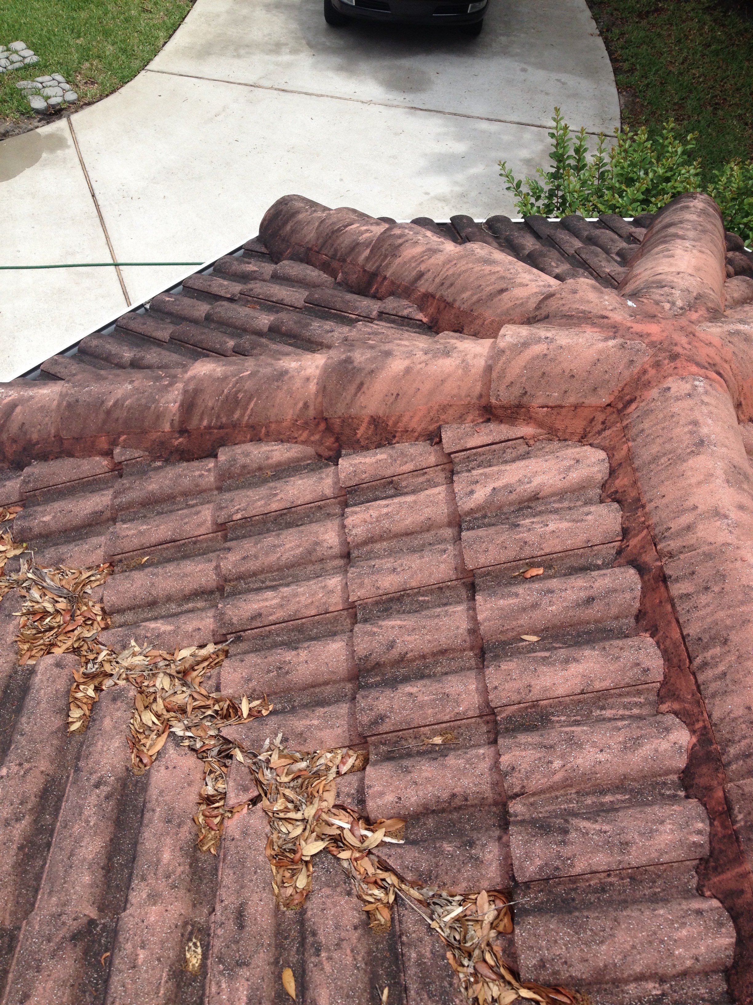 A Tile Roof Cleaning