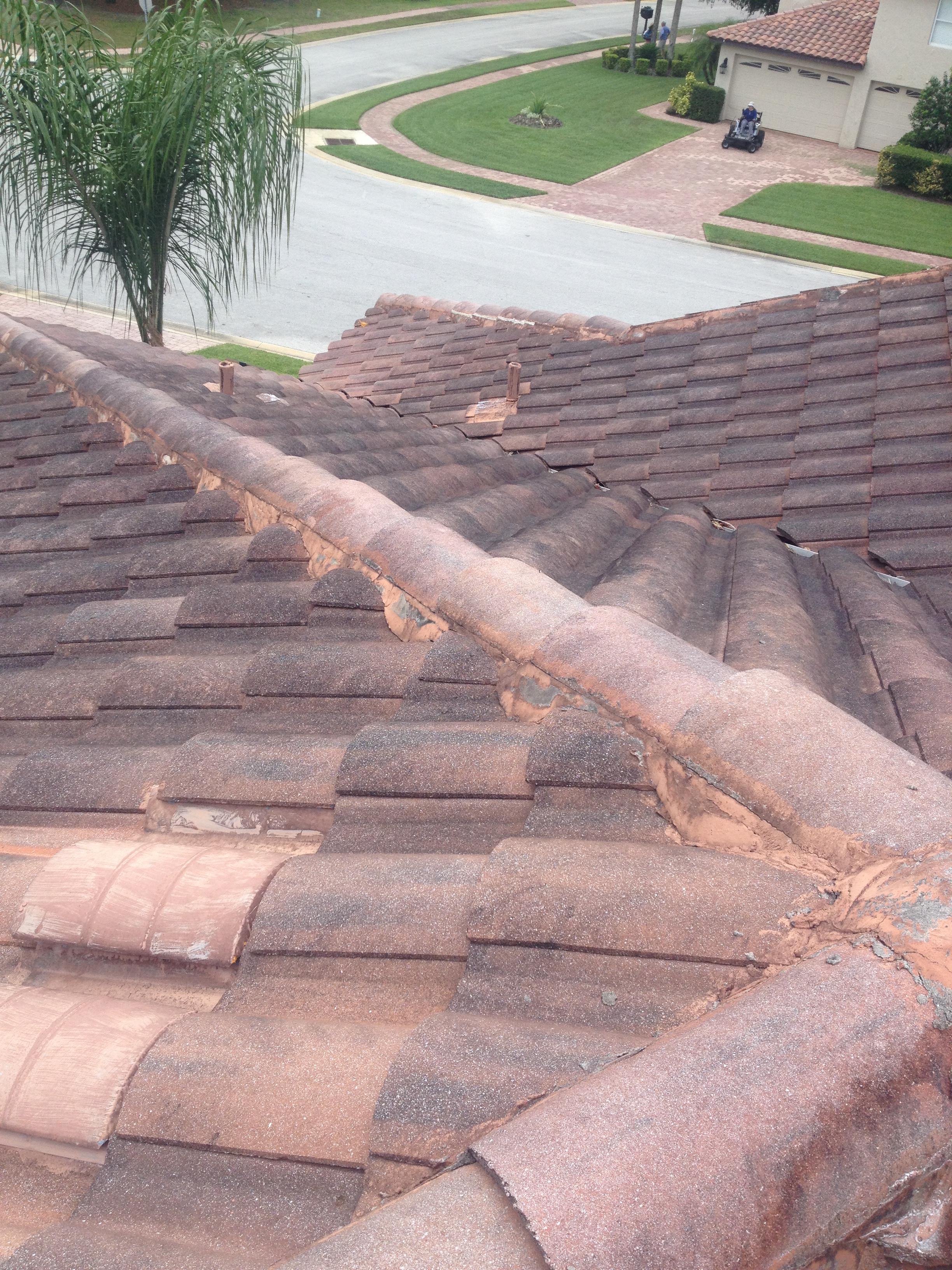 Tile Roof Cleaning