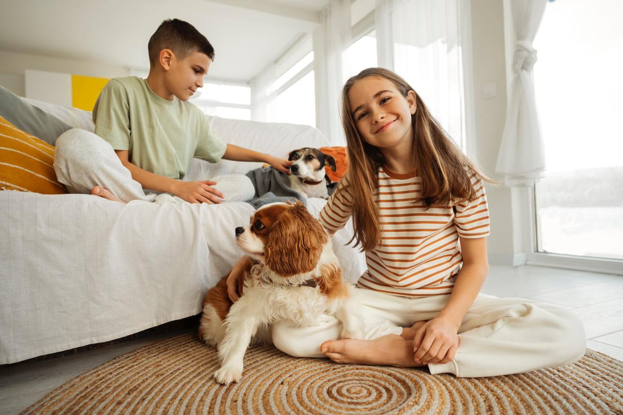Preparing to a New Puppy How to PetProof Your Home BC Pet
