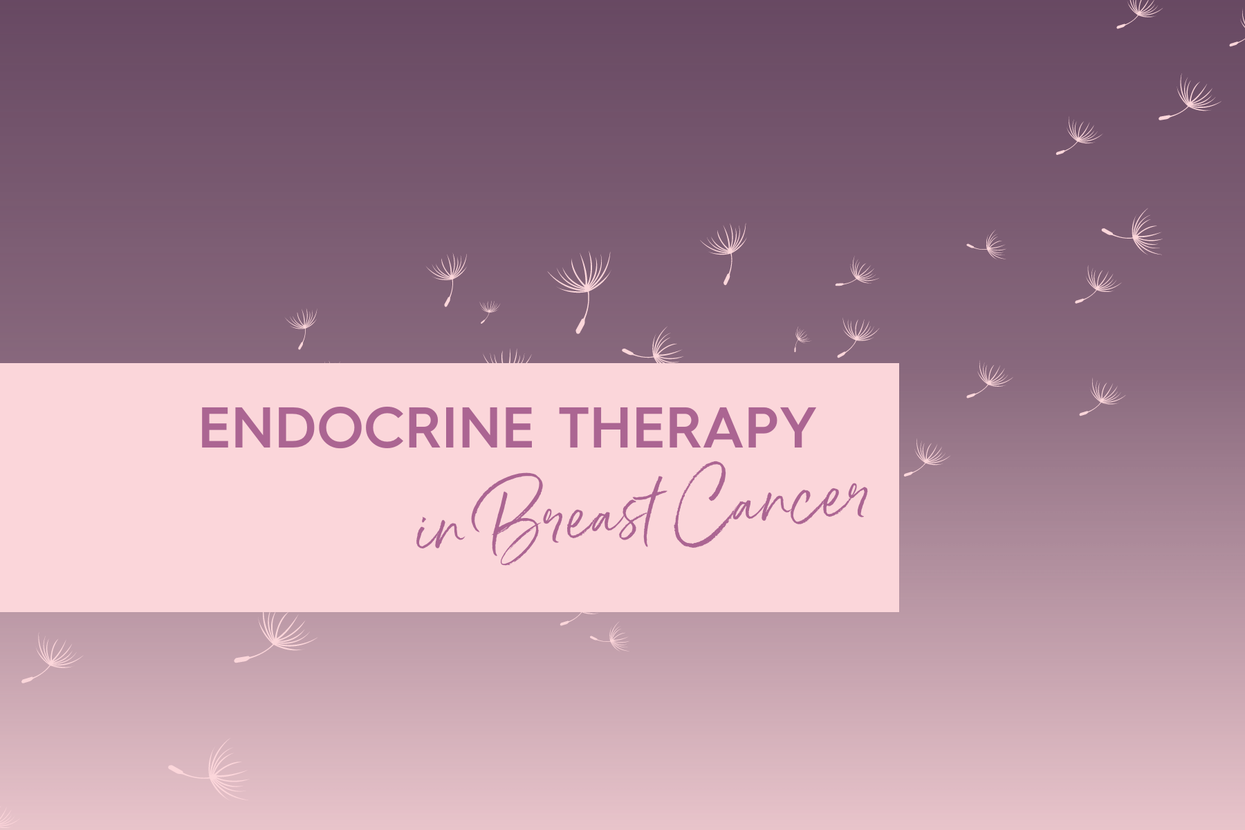 Endocrine Therapy in Breast Cancer Breast Cancer Research Centre WA