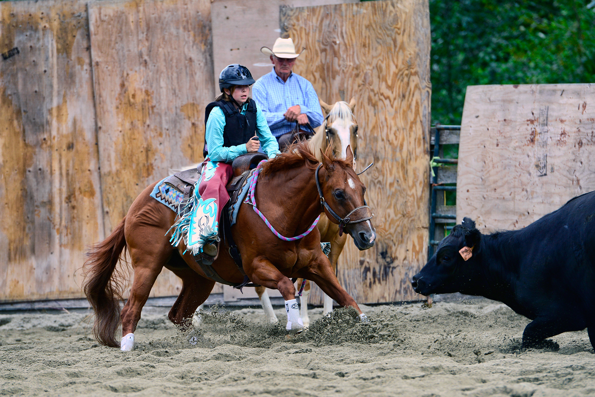 BC Ranch Cutting Horse Association