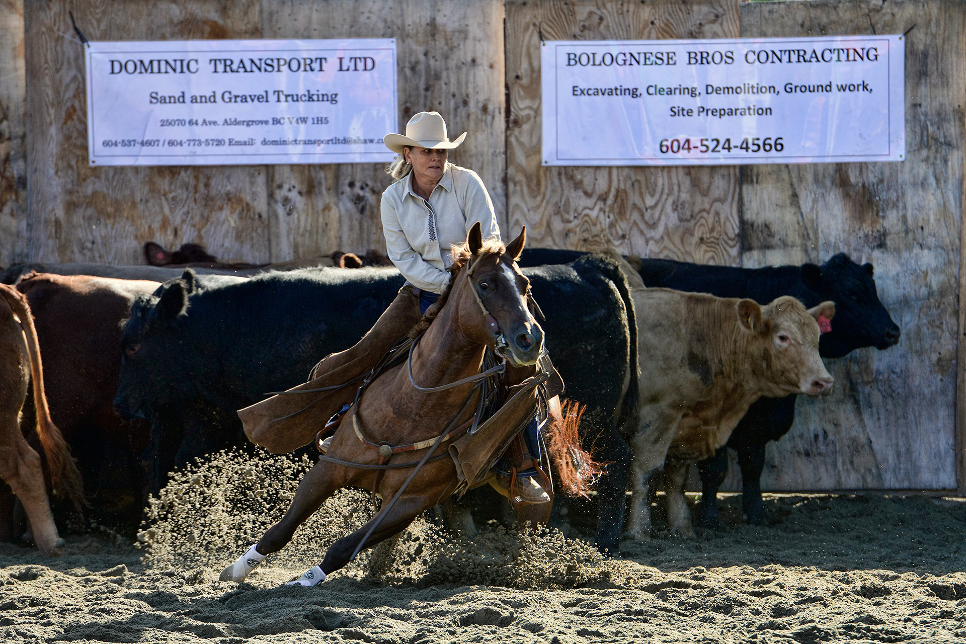 BC Ranch Cutting Horse Association