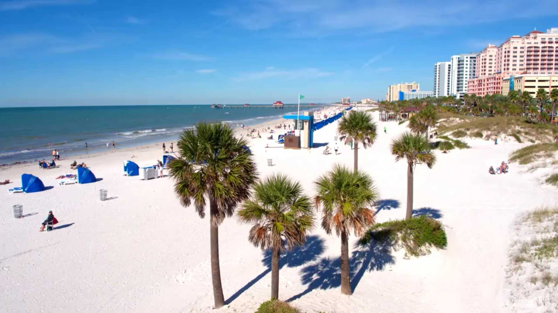 About BCRE Co. Real Estate Firm Greater Tampa Bay Area