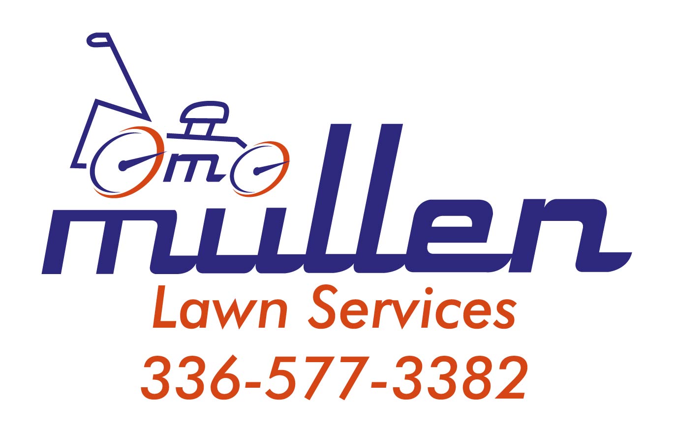 Bear Creek Raceway Park Dobson, North Carolina