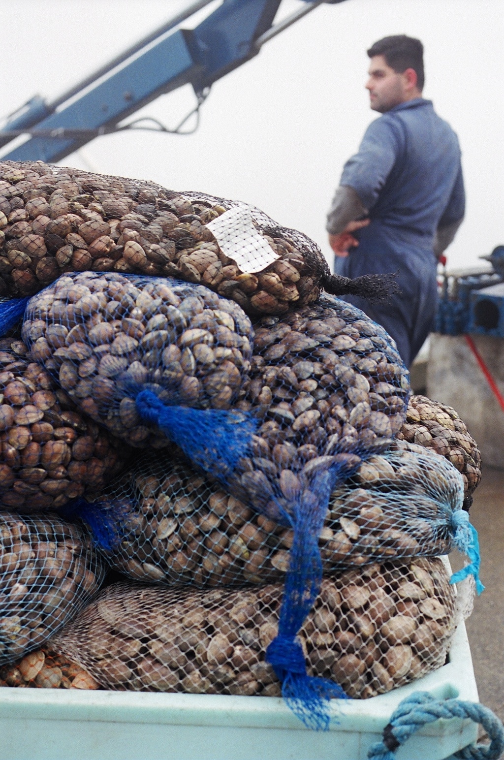 BC Shellfish Grower's Association http//bcsga.ca/wpcontent/uploads