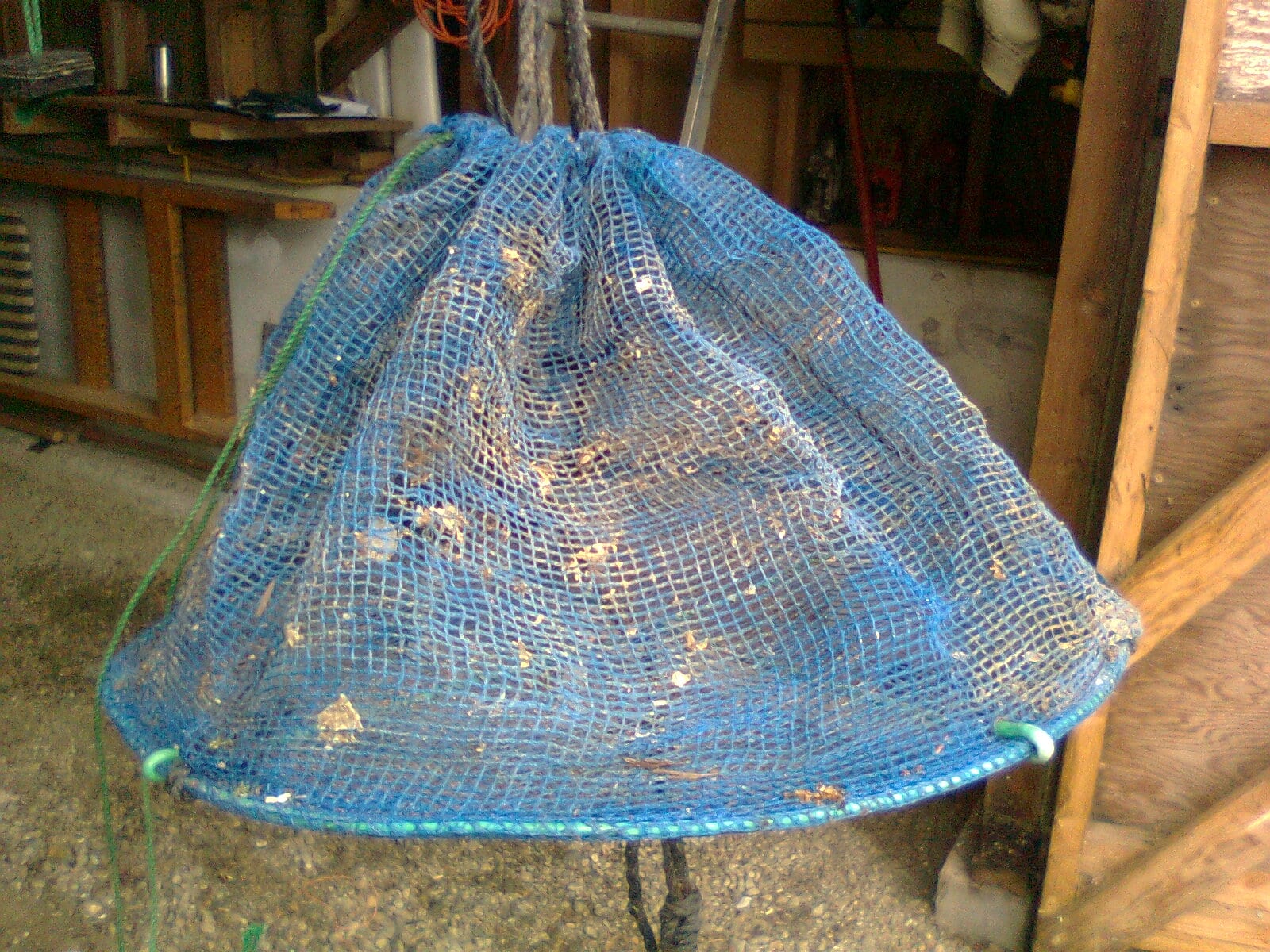 BCSGA BC Shellfish Growers Association