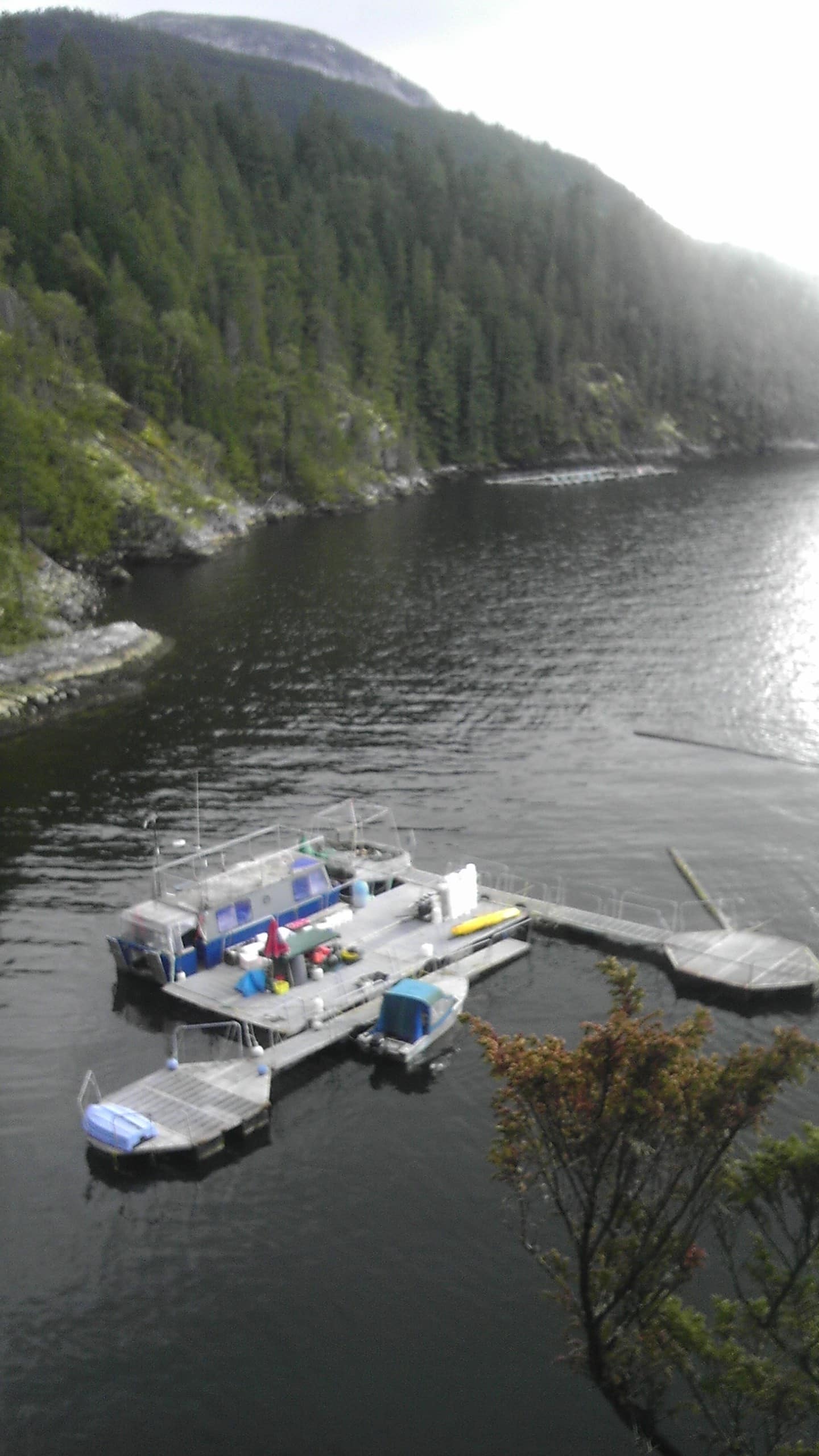 BCSGA BC Shellfish Growers Association