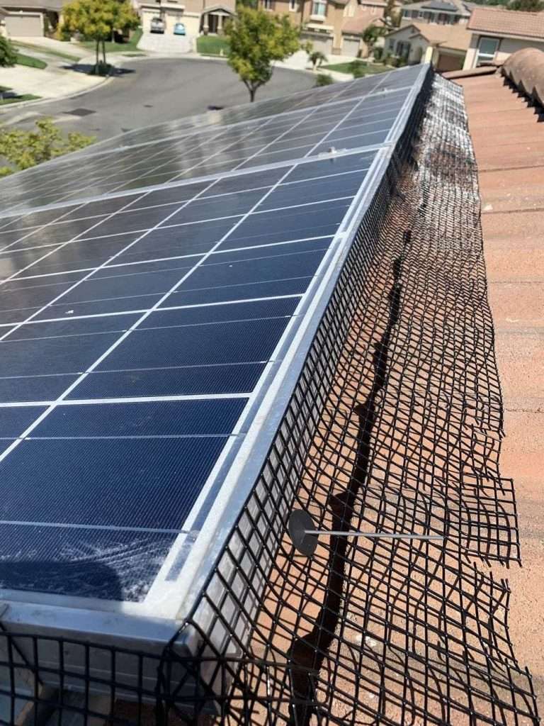 Solar Panel Bird Proofing Service Near Me In Fontana