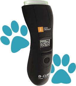 High demand - B Cure Laser Vet Pro - B-Cure Laser Vet