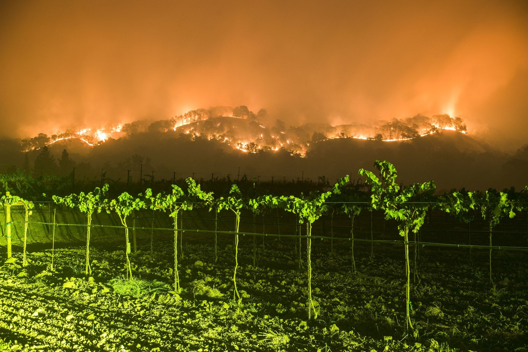 California Wine Country Fires BC Wine Trends