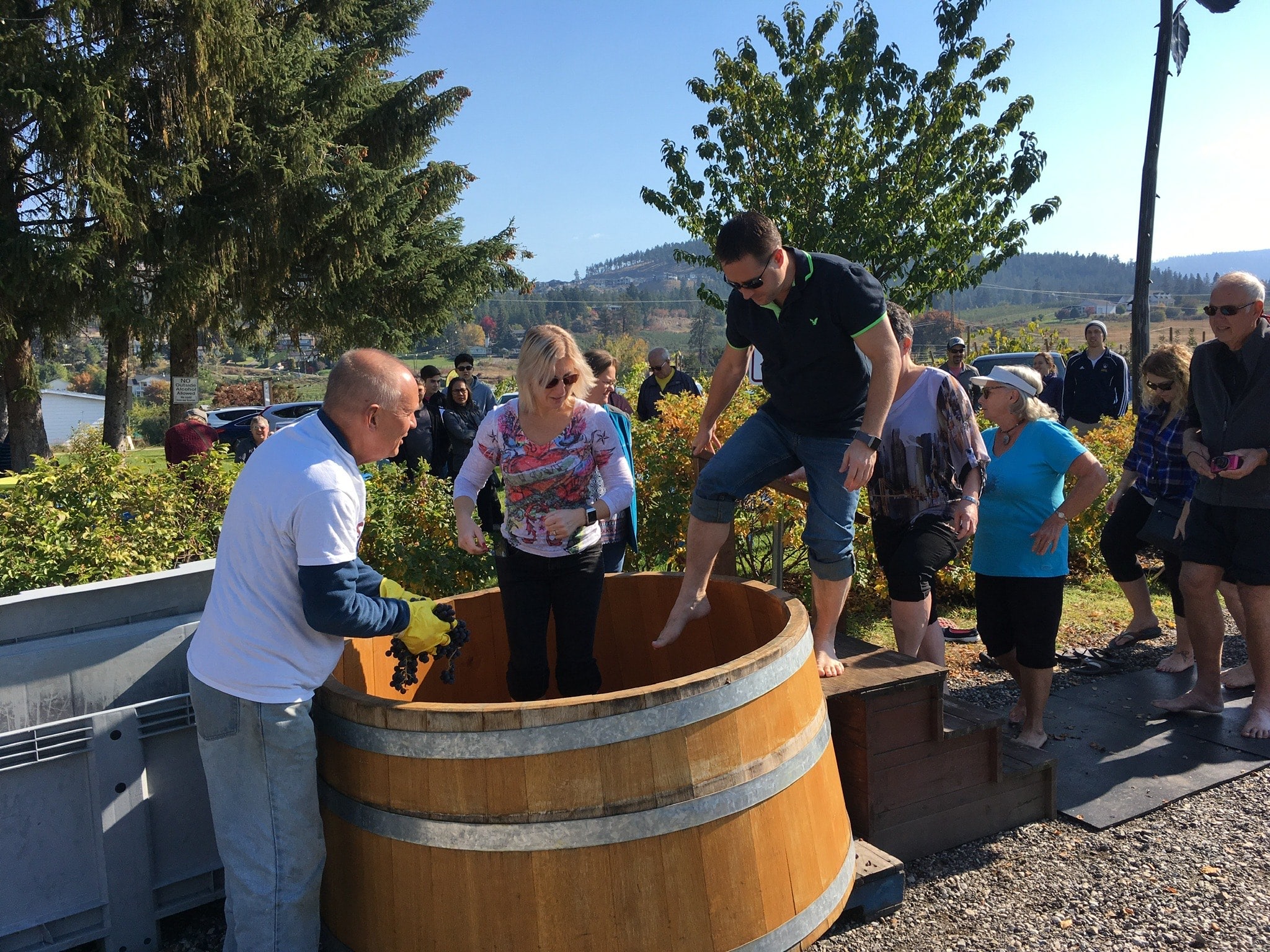 The Annual House of Rose Harvest Party Grape Stomping.