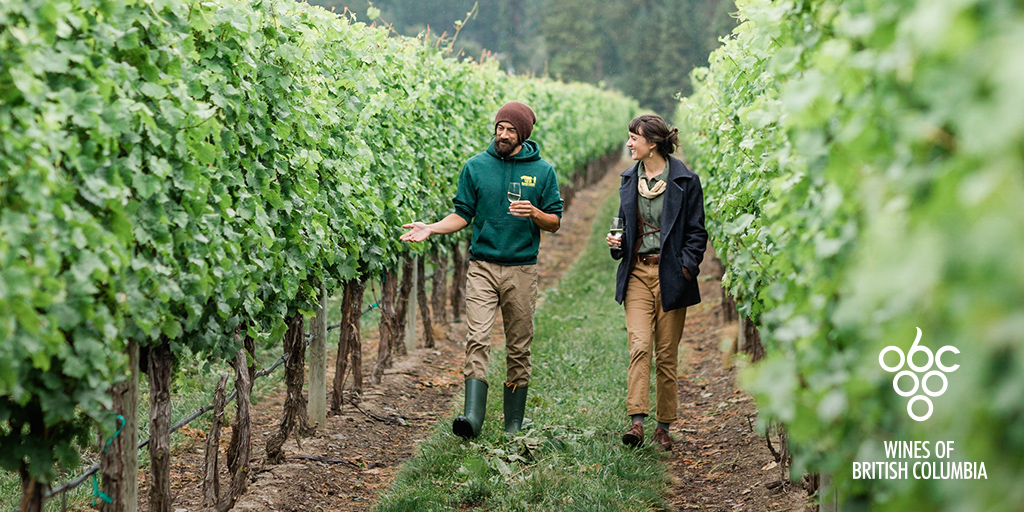 British Columbia Wine Institute excited to announce new name