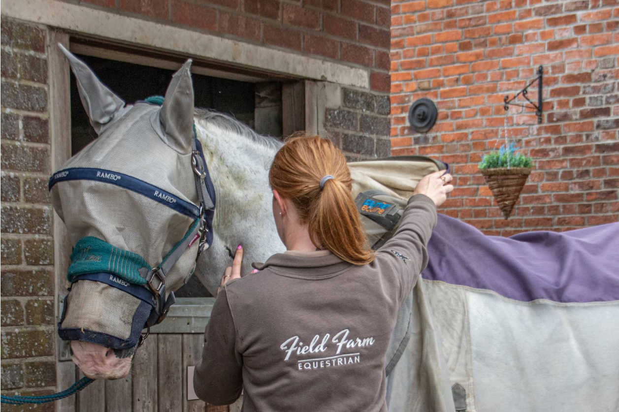 Does your horse really need to wear a rug? BDA at Field Farm