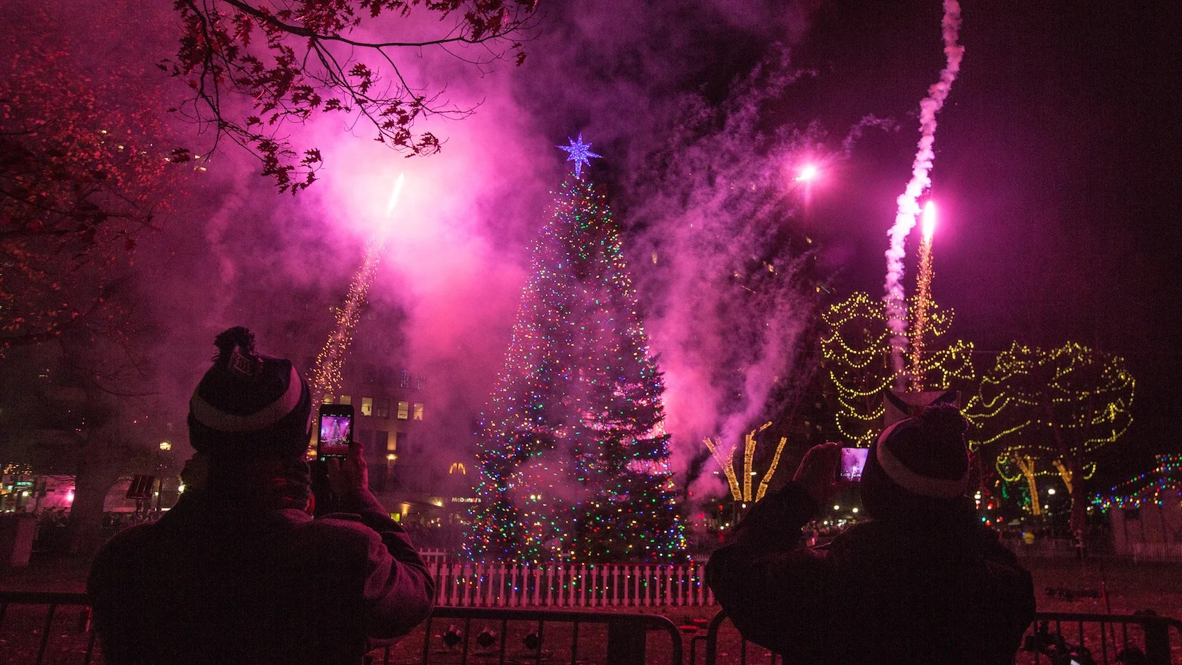 Why Nova Scotia gives Boston its Christmas tree for free every year
